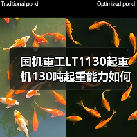 国机重工LT1130起重机130吨起重能力如何？高效稳定施工首选（图1）