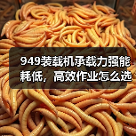 949装载机承载力强能耗低，高效作业怎么选？（图2）