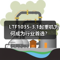 LTF1035-3.1起重机为何成为行业首选？（图1）