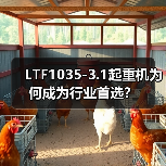 LTF1035-3.1起重机为何成为行业首选？（图2）