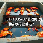 LTF1035-3.1起重机为何成为行业首选？（图4）