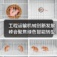 工程运输机械创新发展峰会聚焦绿色智能转型（图2）