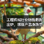 工程机械行业销售数据出炉，哪些产品涨跌显著？（图2）