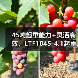 45吨起重能力+灵活高效，LTF1045-4.1起重机为何成为重型作业首选？（图3）