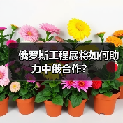 俄罗斯工程展将如何助力中俄合作？（图4）