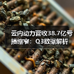 云内动力营收38.7亿亏损缩窄：Q3数据解析（图3）