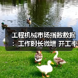 工程机械市场指数数据：工作时长微增 开工率持续下滑（图2）