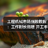 工程机械市场指数数据：工作时长微增 开工率持续下滑（图1）