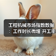 工程机械市场指数数据：工作时长微增 开工率持续下滑（图4）