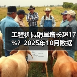 工程机械销量增长超17%？2025年10月数据揭秘（图2）
