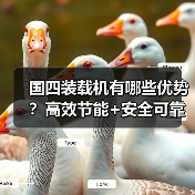 国四装载机有哪些优势？高效节能+安全可靠全面解析（图3）