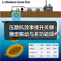 压路机效率提升关键：稳定振动与多功能操作为何成为工地首选？（图2）