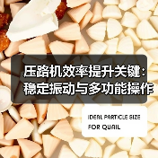 压路机效率提升关键：稳定振动与多功能操作为何成为工地首选？（图1）