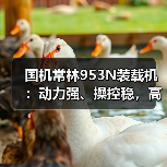 国机常林953N装载机：动力强、操控稳，高效作业必备（图4）