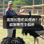 高效压路机如何选？性能耐用性全解析（图3）