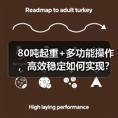 80吨起重+多功能操作，高效稳定如何实现？（图3）