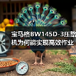 宝马格BW145D-3压路机为何能实现高效作业与舒适驾驶？（图1）