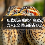 压路机选哪款？高效动力+安全操控的省心之选（图3）
