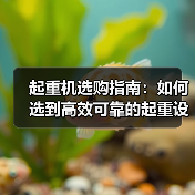 起重机选购指南：如何选到高效可靠的起重设备？（图2）