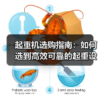 起重机选购指南：如何选到高效可靠的起重设备？（图3）