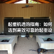起重机选购指南：如何选到高效可靠的起重设备？（图4）