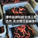 绿色低碳赋能全球工程合作 天津博览会缔造874亿采购新纪录（图4）