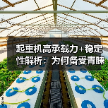 起重机高承载力+稳定性解析：为何备受青睐？（图3）