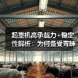 起重机高承载力+稳定性解析：为何备受青睐？（图4）