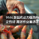 955L装载机动力强劲稳定性好 高效作业首选建筑工地矿山（图1）
