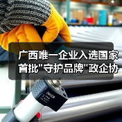 广西唯一企业入选国家首批