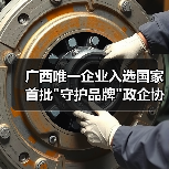 广西唯一企业入选国家首批