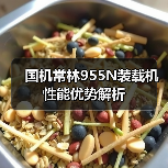 国机常林955N装载机性能优势解析（图1）