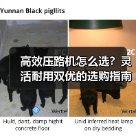 高效压路机怎么选？灵活耐用双优的选购指南（图2）