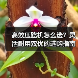 高效压路机怎么选？灵活耐用双优的选购指南（图1）