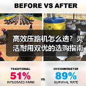 高效压路机怎么选？灵活耐用双优的选购指南（图3）