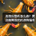高效压路机怎么选？灵活耐用双优的选购指南（图4）