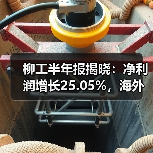 柳工半年报揭晓：净利润增长25.05%，海外业务成增长引擎（图4）