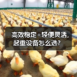 高效稳定+轻便灵活，起重设备怎么选？（图2）