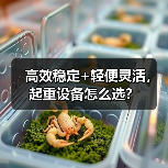 高效稳定+轻便灵活，起重设备怎么选？（图3）