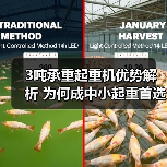 3吨承重起重机优势解析 为何成中小起重首选？（图1）