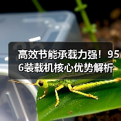 高效节能承载力强！956装载机核心优势解析（图2）