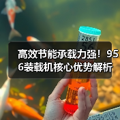 高效节能承载力强！956装载机核心优势解析（图4）