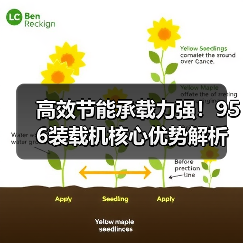 高效节能承载力强！956装载机核心优势解析（图3）