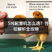5吨起重机怎么选？性能解析全攻略（图3）