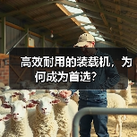 高效耐用的装载机，为何成为首选？（图1）
