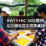 BW151AC-50压路机动力强劲压实效果卓越核心原因揭秘（图1）