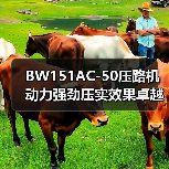 BW151AC-50压路机动力强劲压实效果卓越核心原因揭秘（图4）