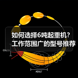 如何选择6吨起重机？工作范围广的型号推荐（图2）