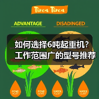 如何选择6吨起重机？工作范围广的型号推荐（图1）