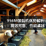 956M装载机优势解析：高效可靠，性能卓越（图1）